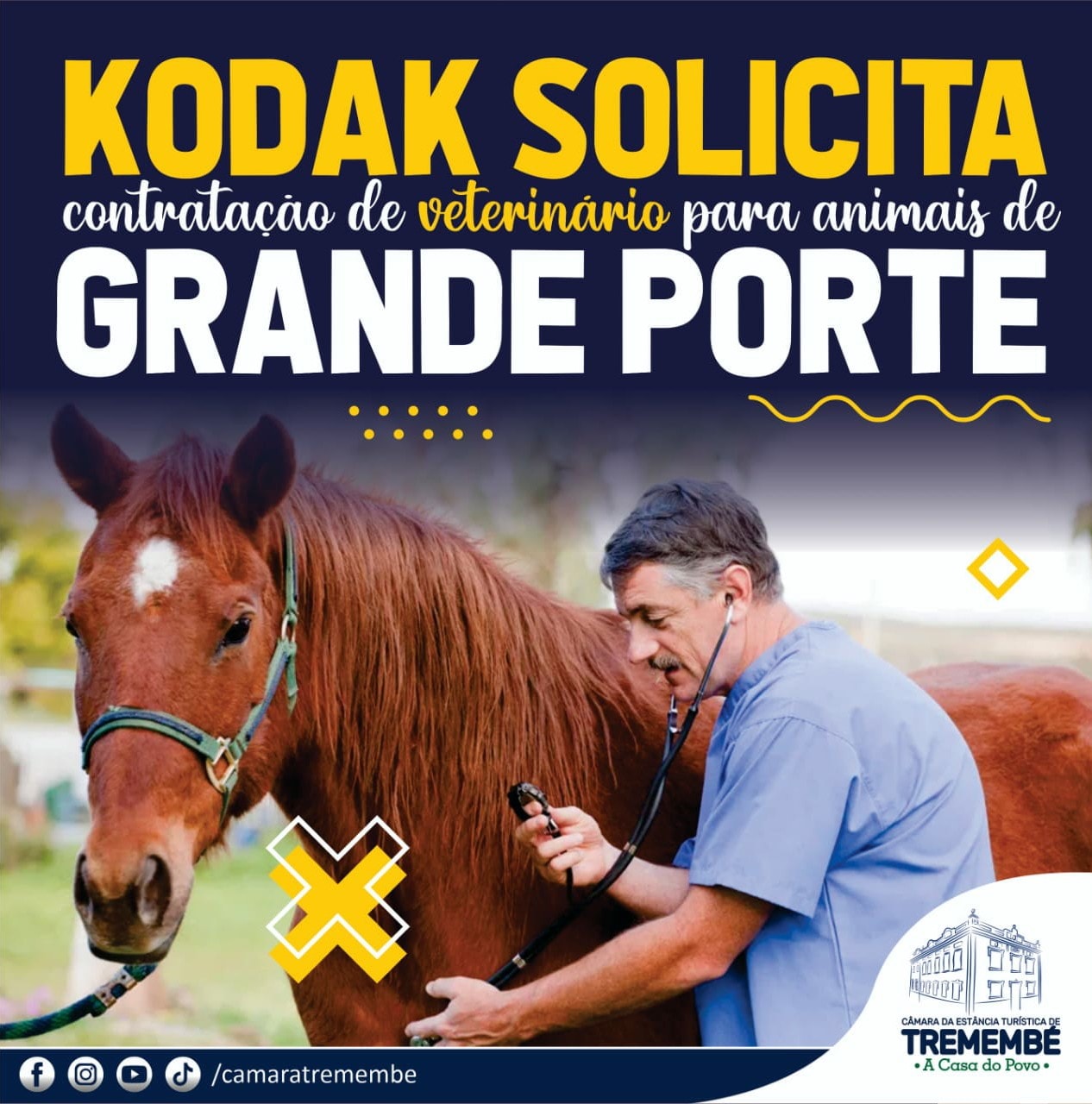 Kodak solicita contratação de veterinário para animais de grande porte