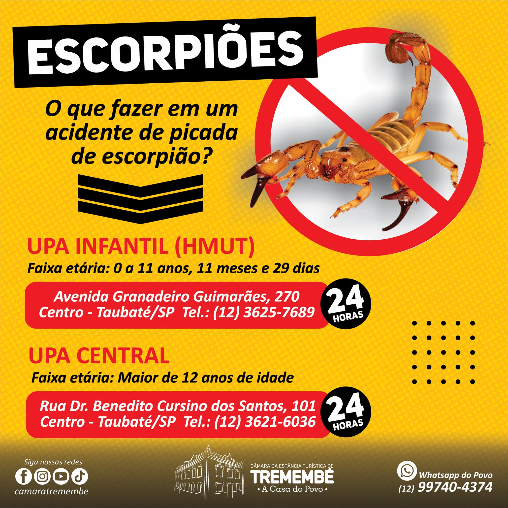 O que fazer numa picada de escorpião em Tremembé?