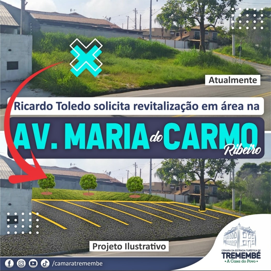 Vereador solicita revitalização de área na Av. Maria do Carmo Ribeiro